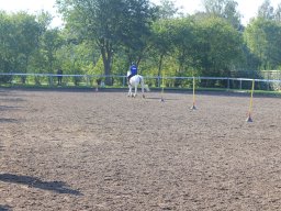 img_0178_web